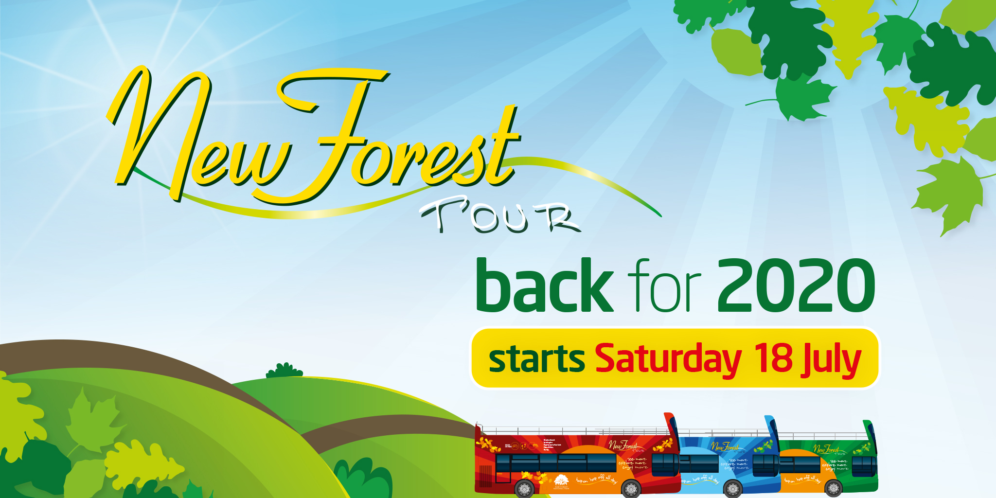 new forest tour red route timetable
